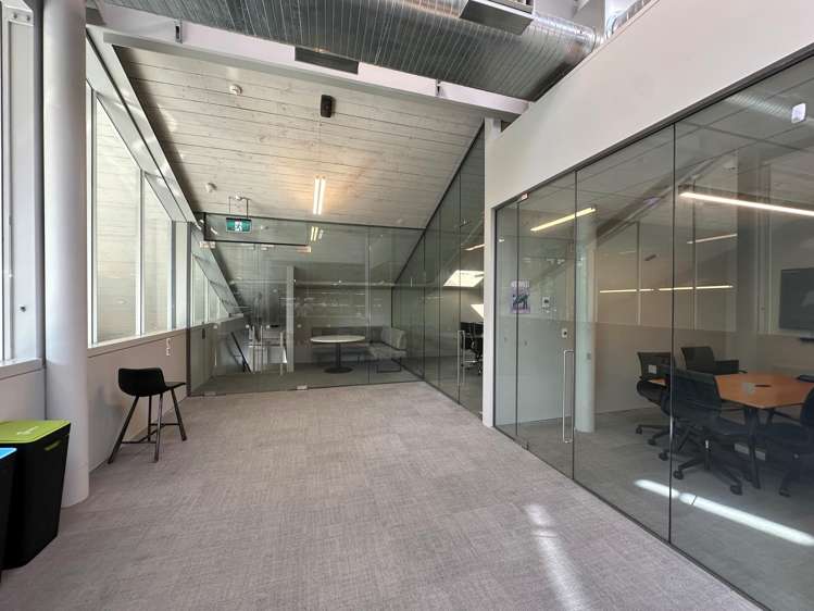 24 Balfour Road Parnell_5