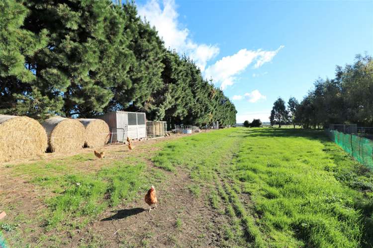 278 Beaconsfield Road Fairview_15