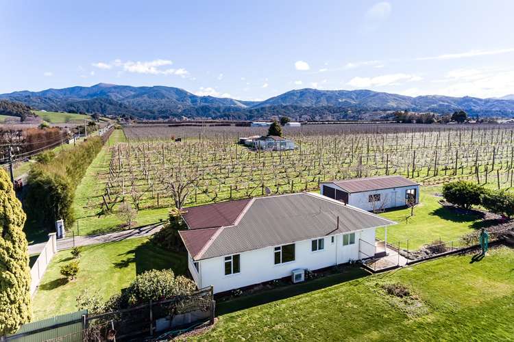 84 College Street Motueka_6