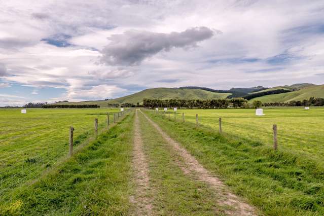 Christchurch Akaroa Road Tai Tapu_4