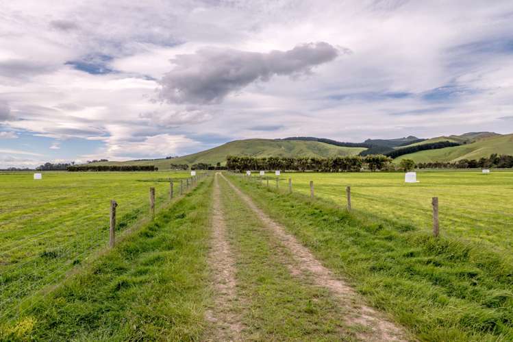 Christchurch Akaroa Road Tai Tapu_4