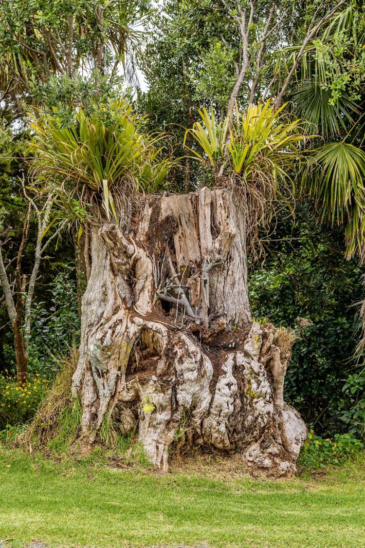 116 Hawkins Road Kohukohu_7