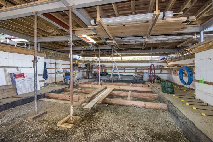 84a Vauxhall Road Narrow Neck_16