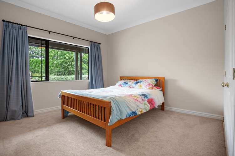 21 Thorn Road Kaimai_20