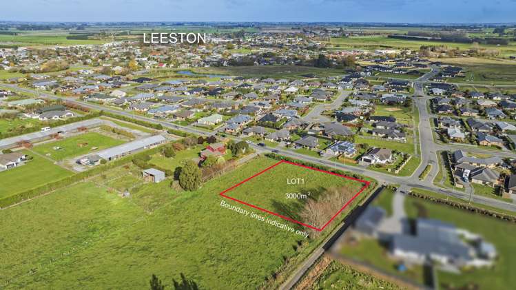 84 Manse Road Pleasant Point_7