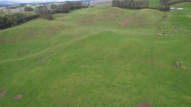 44.78ha Pakaraka Volcanic Finishing Unit