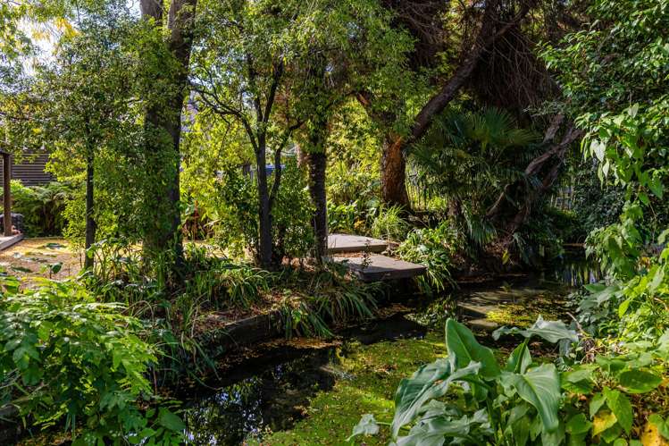 6A Battys Road Springlands_22