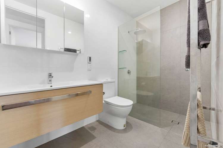 417 Murphys Road Flat Bush_6