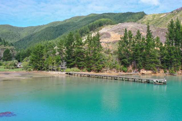 Queen Charlotte Forest, Onapua Bay Marlborough Sounds_2