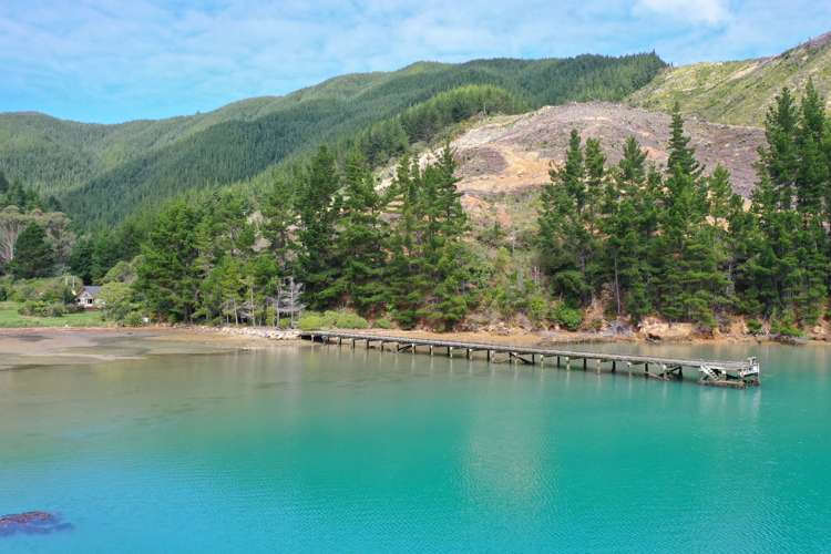 Queen Charlotte Forest, Onapua Bay_2