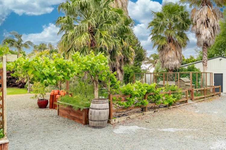 69 Moir Street Mangawhai_20