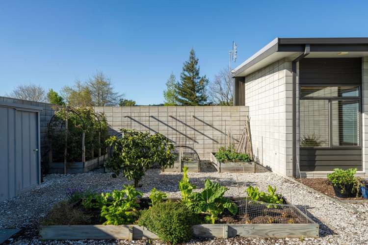 56 Te Karaka Drive Te Puna_14