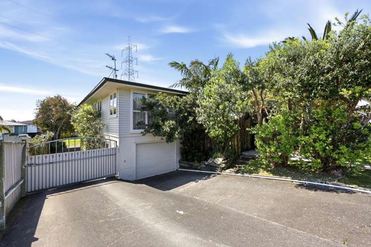 185 Halsey Drive Lynfield_6