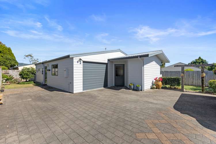 3b Princess Street Te Puke_17