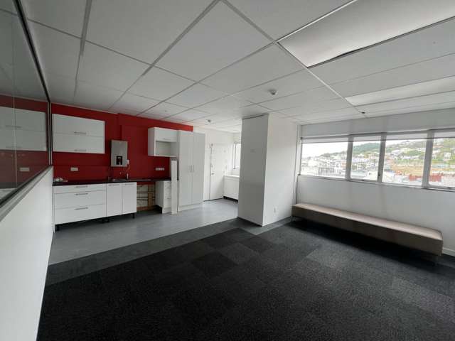 39 Webb Street, Te Aro Mt Cook_4