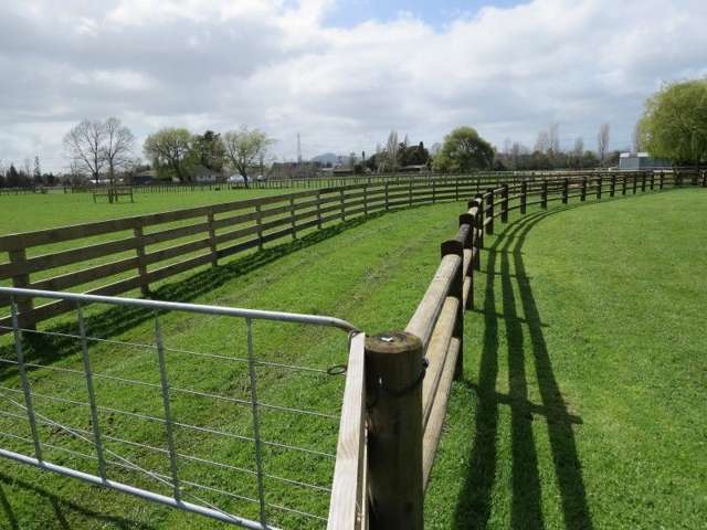 296a Pickering Road Tamahere_3