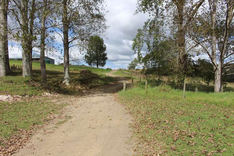 Aponga Road Ruatangata_12