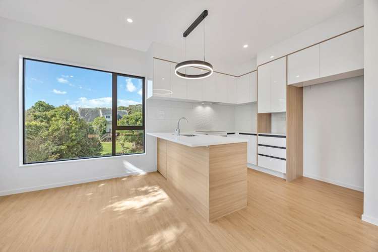 Lot 1, 252 Pakuranga Road_4
