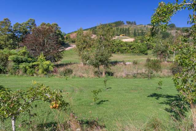 245B Wallace Road Koputaroa_3