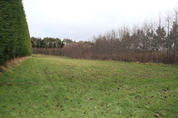 459 Flora East Makarewa_12