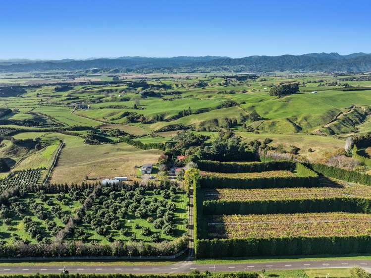 205 McCarthy Road Opotiki_30