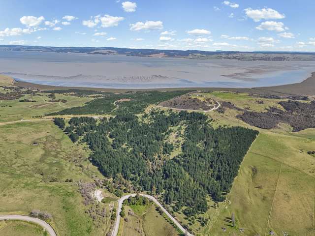 Te Kowhai Road Ruawai_1