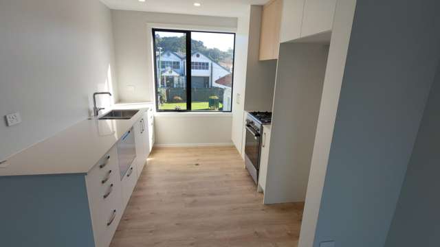 1/101 Rongotai Road 1290_1