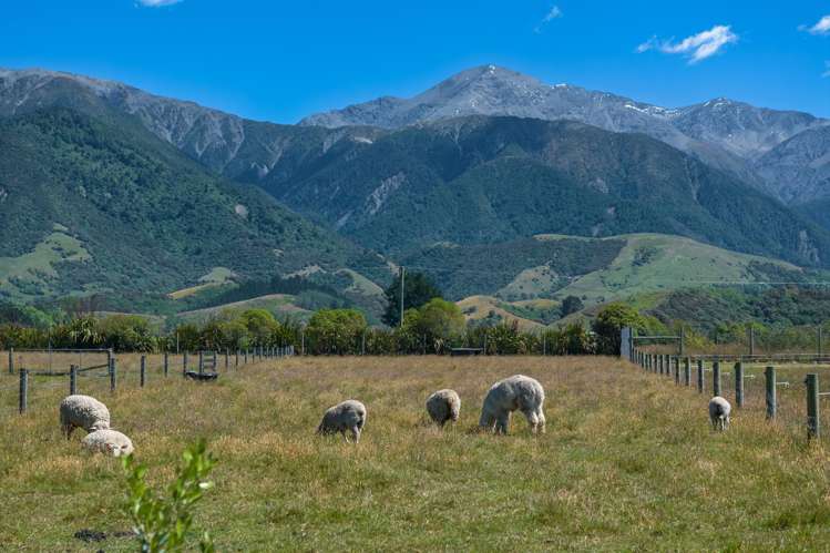 29 and 7 Skevingtons Road Hapuku_1