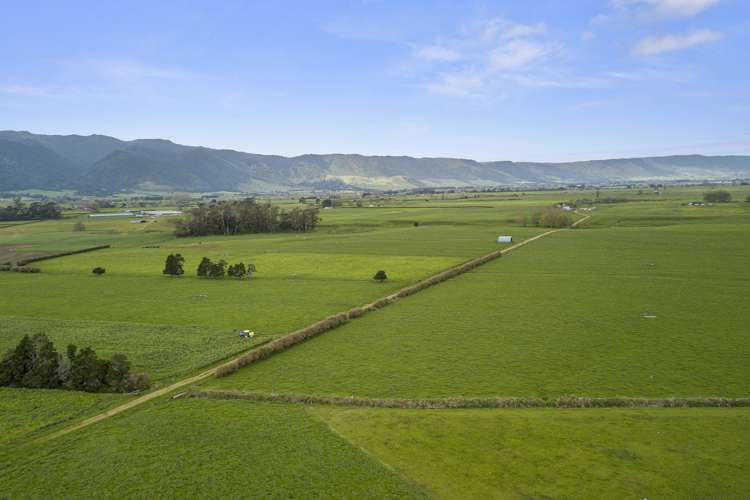 Wardville Road Wardville_10