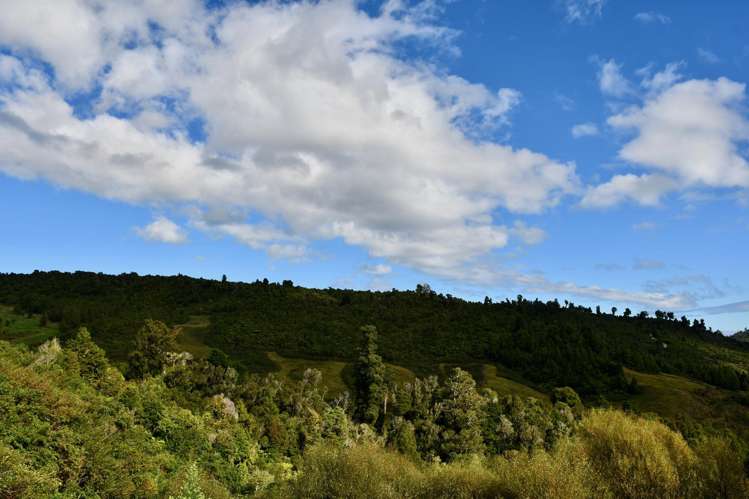 40Ha Block State Highway 67 Mokihinui_8