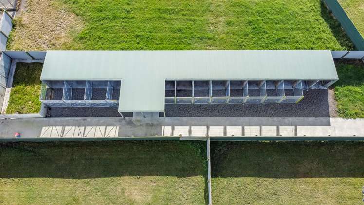 140 Lake Road Himatangi_23