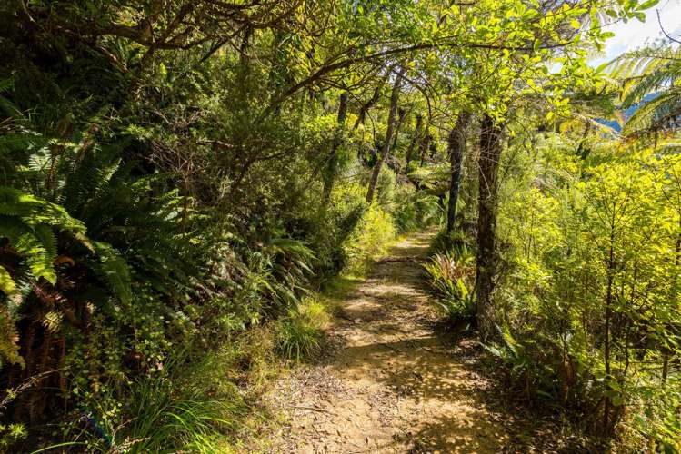 Lot 9 Fairy Bay Pelorus Sounds_7