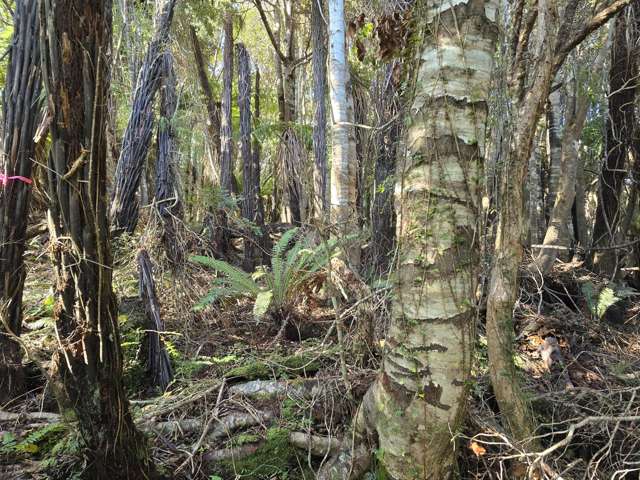 7 Rata Street Stewart Island_3