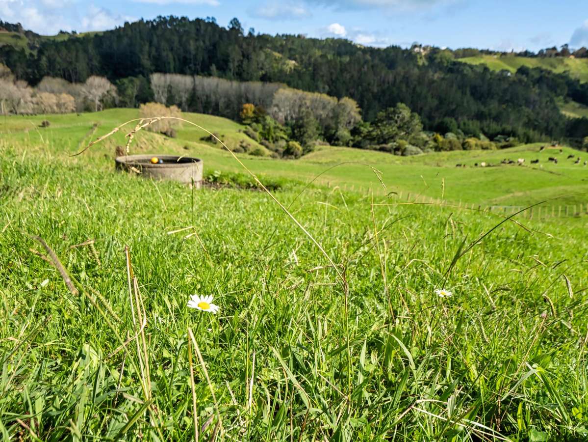 Lot 2,164C Crawford Road_5