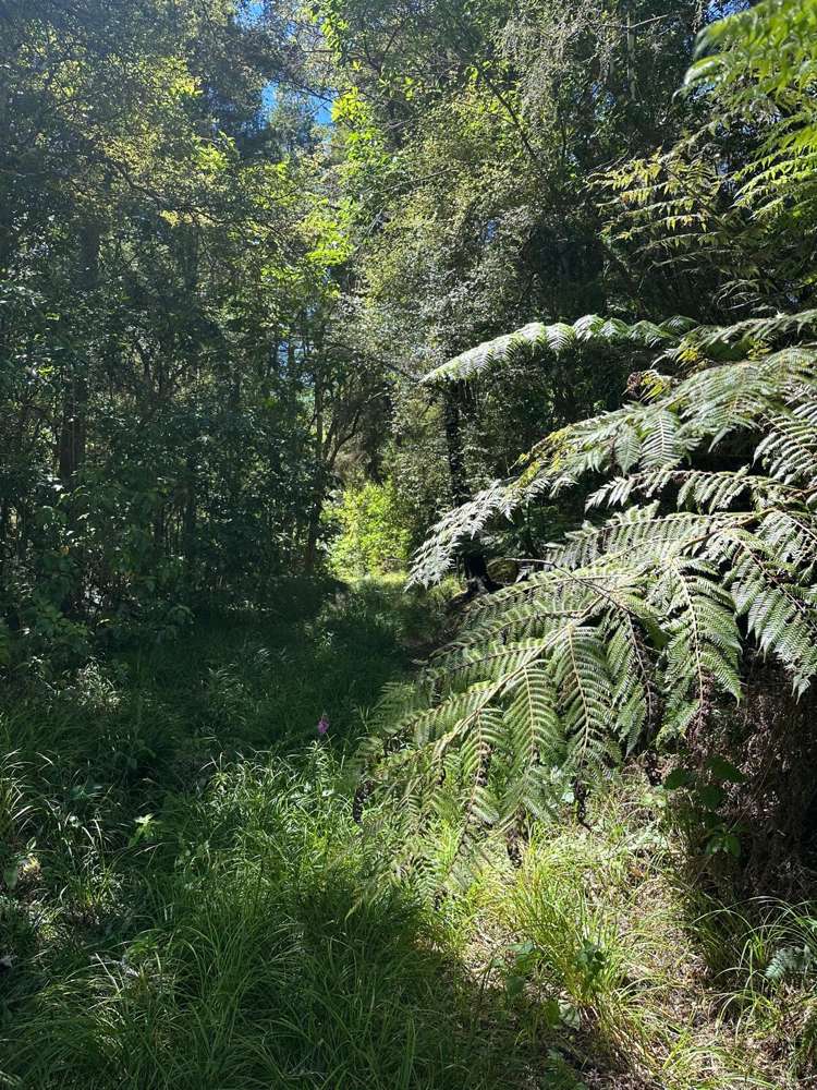 240 Teapot Valley Road Brightwater_40