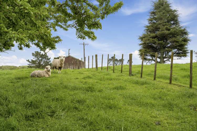 347 Standish Road Stratford_14