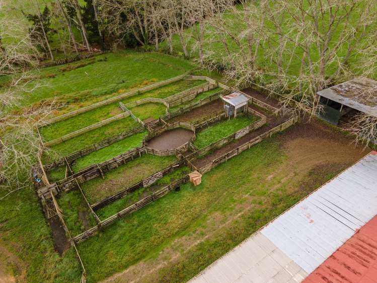 401 Waikaretu Valley Road Glen Murray_8