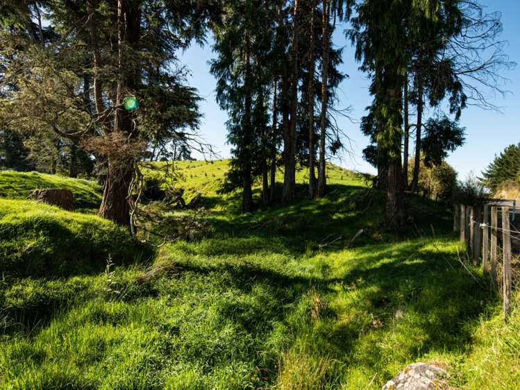 Ruatiti Road Raetihi_7