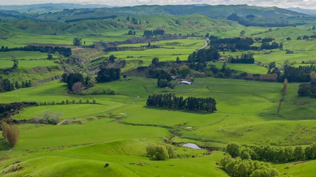 558 Ngaumu Road Masterton_2