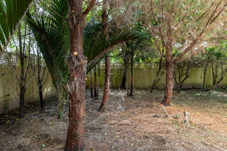 60 Riverview Road Huntly_17