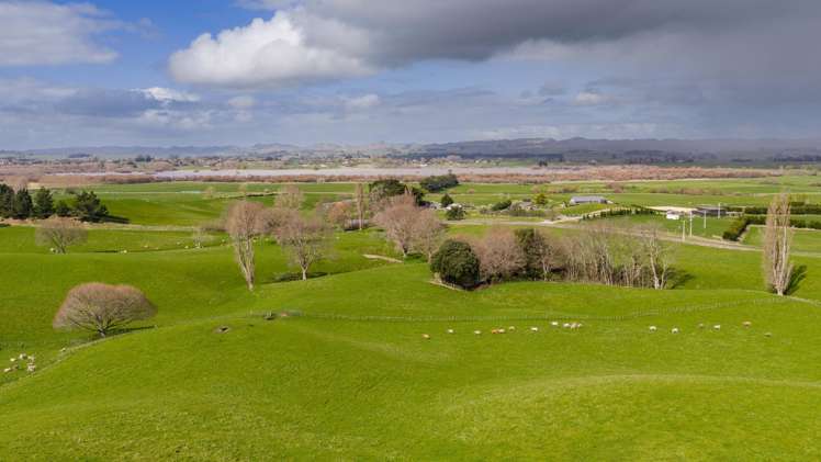 352 Hatuma Road Waipukurau and Surrounds_9