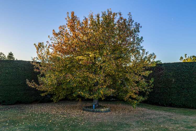 27 Pohutukawa Drive Levin_31