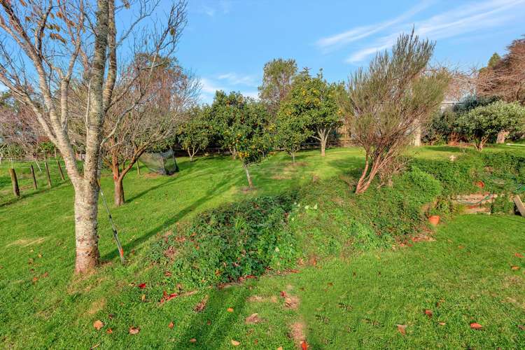 399 Wainui South Road Whakamarama_17