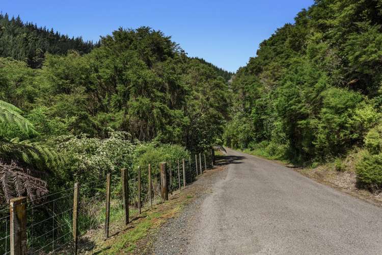 146A Murphy Road Awakeri_9