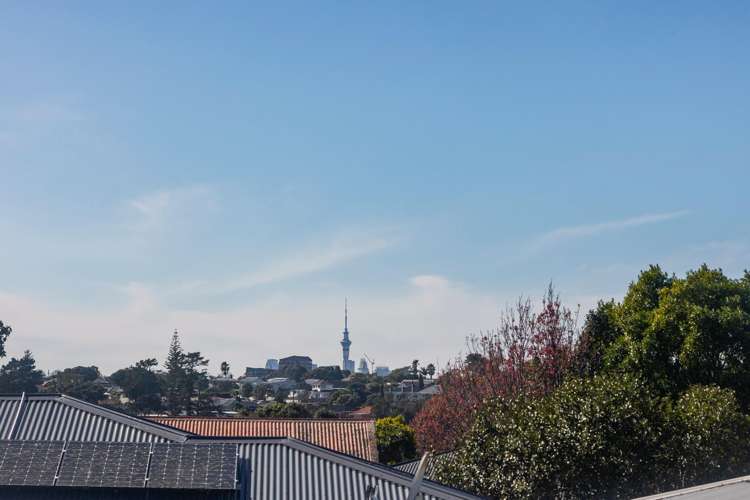 56 Eastdale Road Avondale_15