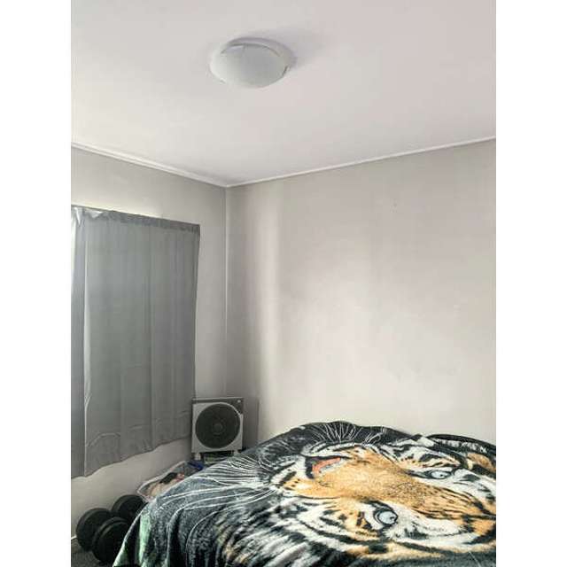 7 Rimu Street 10516_3