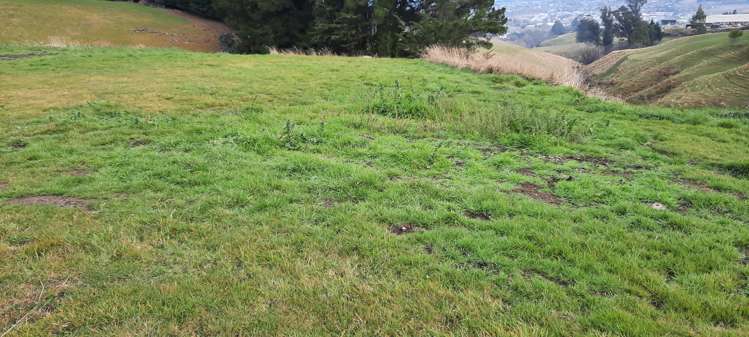 Milton Highway Balclutha_7