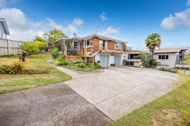 834 Bank Street Te Awamutu_2