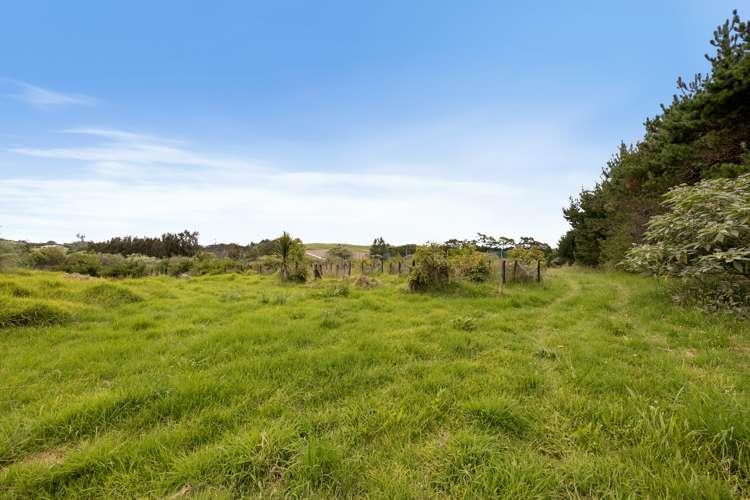 379d Tara Road Mangawhai_4