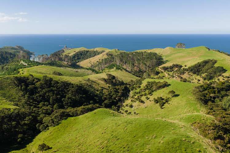 Whangaihe Bay Kaeo_13